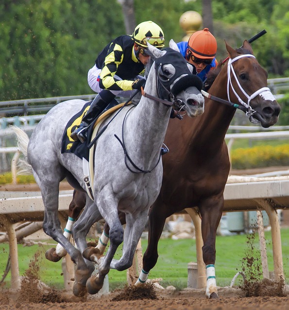 于他的足球 于他的足球